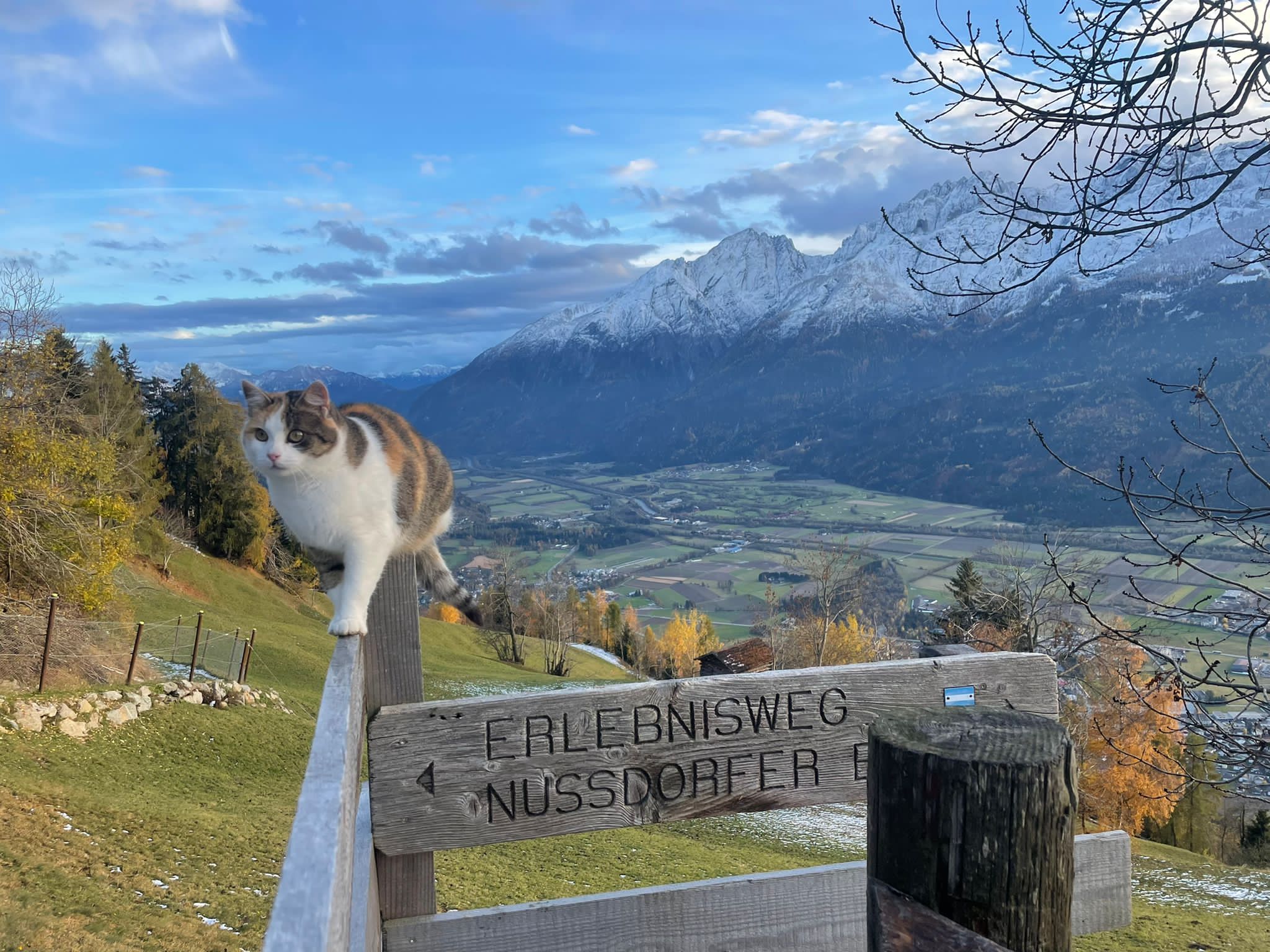 BIO-BAUERNHOF GERLHOF - Bild 6