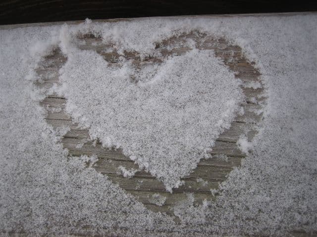 BIO-BAUERNHOF GERLHOF - Bild 1