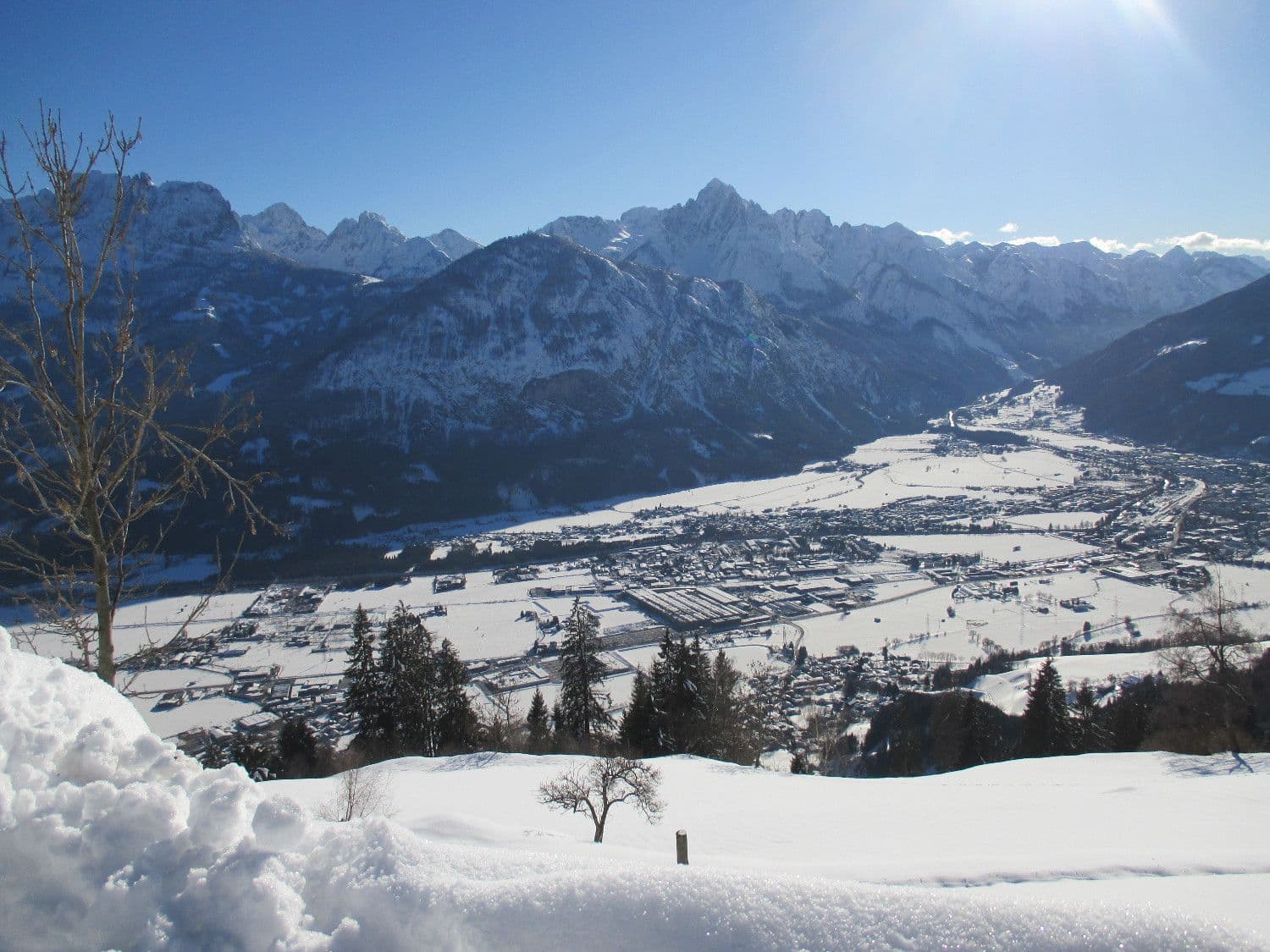 BIO-BAUERNHOF GERLHOF - Bild 3