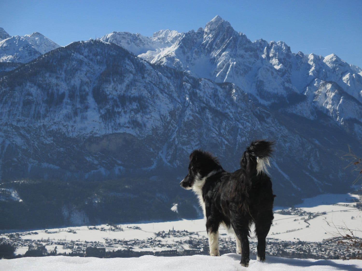 BIO-BAUERNHOF GERLHOF - Bild 4