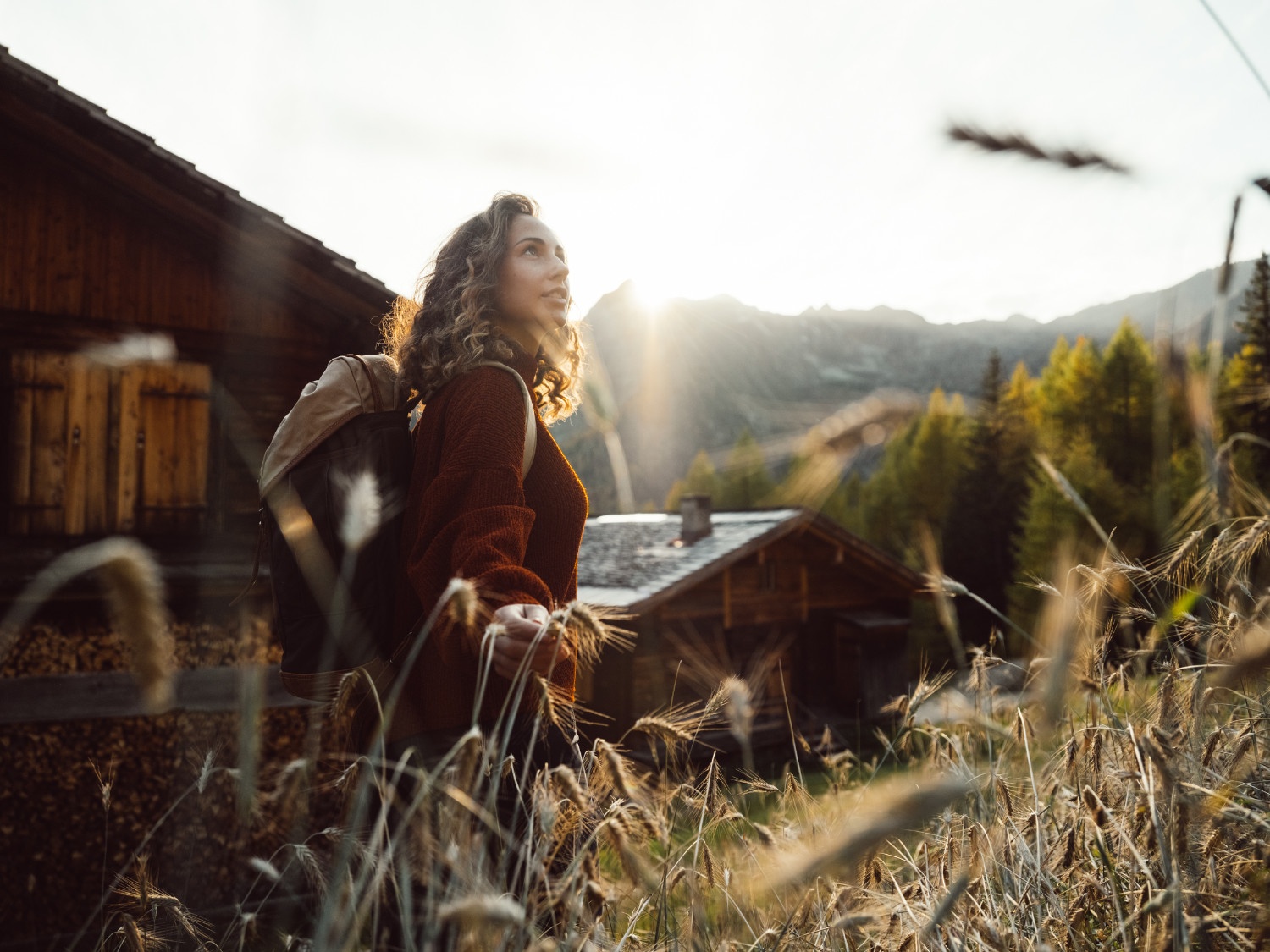 Nationalpark Hohe Tauern - Fauna